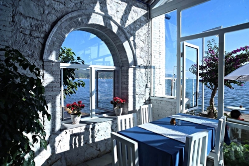 夫妻俩把旧老屋改造成阳光花房，岁月静好