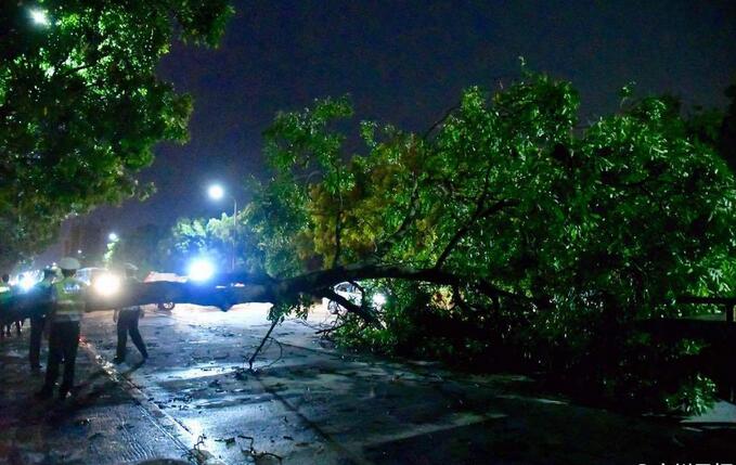 台风“莎莉嘉”“海马”组队直奔广东，你家做好防御了吗？