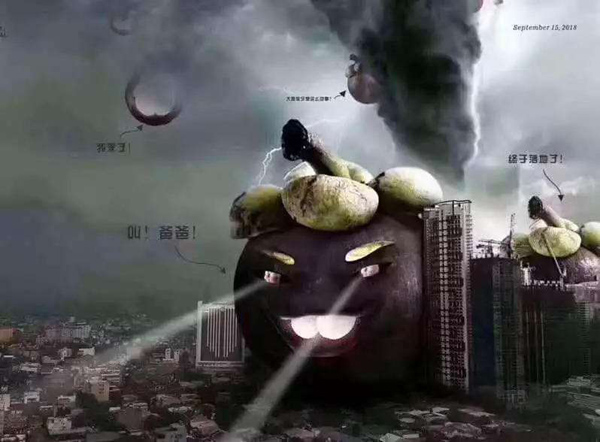 台风“山竹”肆虐过后，门窗如何保养
